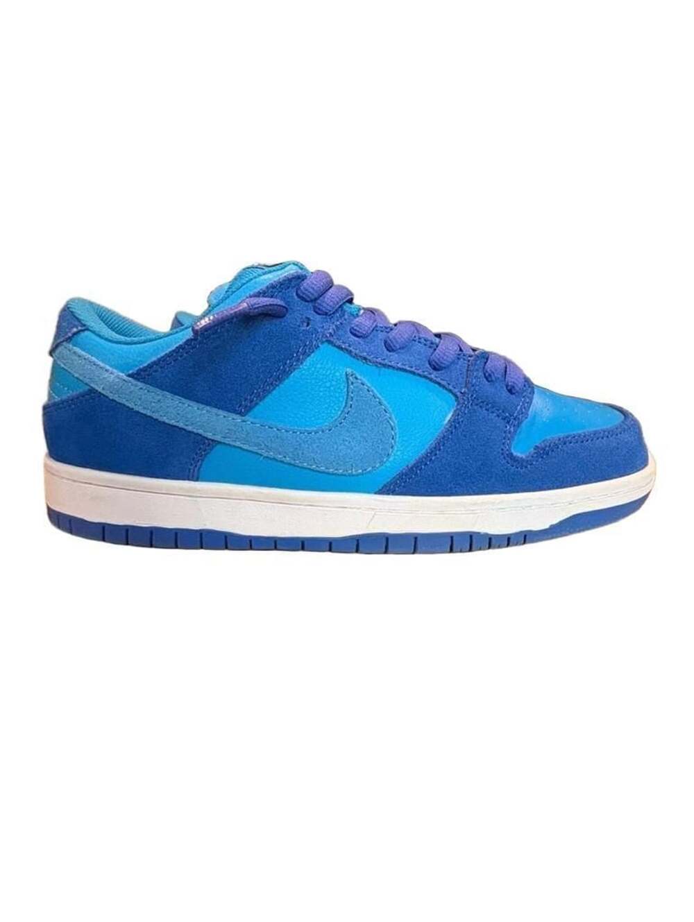 Nike Dunk Low Blue Sneakers